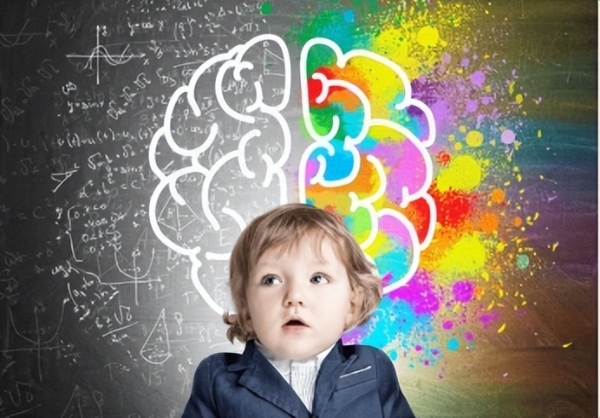 金领冠睿护奶粉：提高宝宝大脑发育的智慧选择