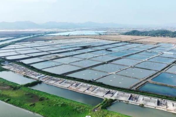  社交平台刷屏！半天妖红花椒烤鱼为何成为今冬餐饮新“顶流”？ 