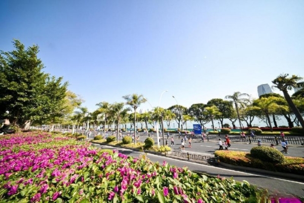  跑厦去，享热爱！2026 厦门马拉松双卫冕闪耀，OHAYO雷登用音乐点亮赛道 