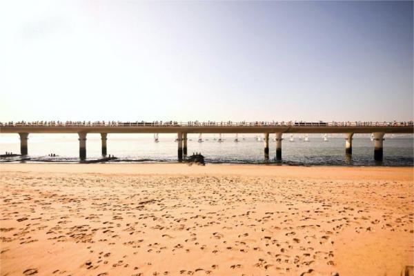  跑厦去，享热爱！2026 厦门马拉松双卫冕闪耀，OHAYO雷登用音乐点亮赛道 