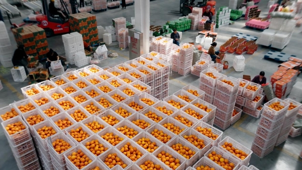 新茶饮告别流量狂欢 书亦烧仙草连获双奖展示可持续竞争力 