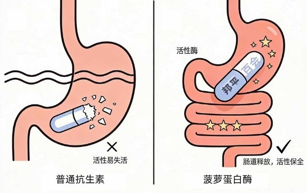 春节前变美消肿成刚需，菠萝里藏着答案 