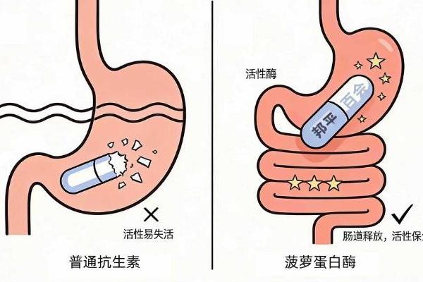 春节前变美消肿成刚需，菠萝里藏着答案 