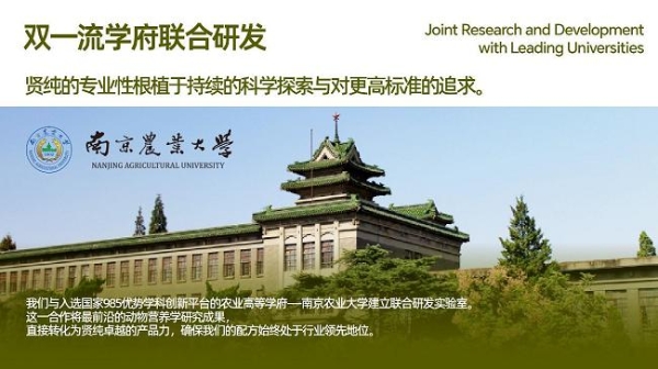 守护岁月的瑰宝：贤纯Wispure联名央视《国家宝藏》重磅发布“分龄鲜蒸猫粮” 