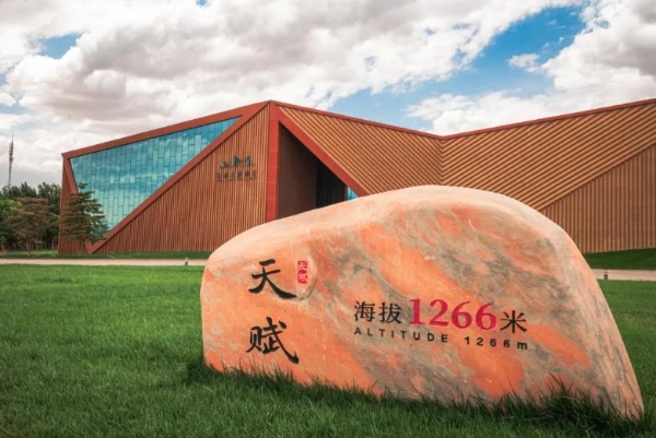 央视《大西北》播出！这家酒庄凭什么成为“西北逆袭”中最震撼的故事？ 