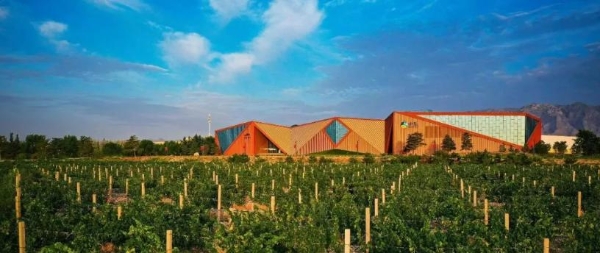 央视《大西北》播出！这家酒庄凭什么成为“西北逆袭”中最震撼的故事？ 