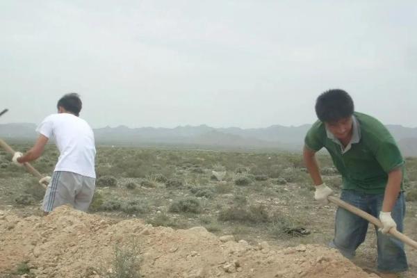 央视《大西北》播出！这家酒庄凭什么成为“西北逆袭”中最震撼的故事？ 