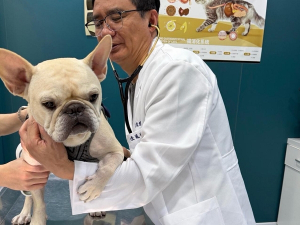 新瑞鹏旗下上海顽皮家族虹桥总院完成高难度皮瓣修复手术——宠物肿瘤外科新高度 