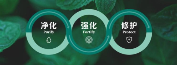 自然阳光启动“订阅健康机制”——全年代谢营养方案月付递减模式落地 