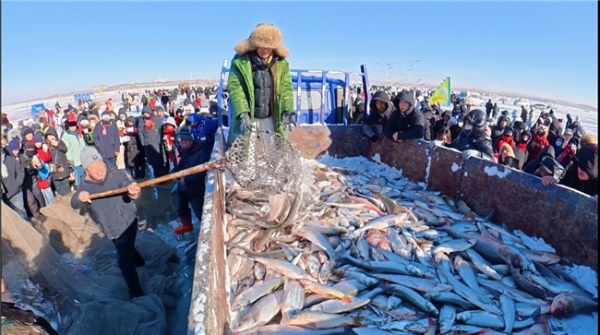 冰湖起网即捞即发，顺丰护航查干湖“第一网鱼”