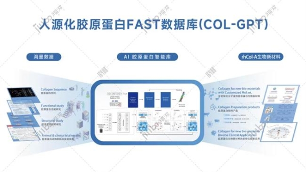 锦波生物如何“从无到有”定义“生命材料”新赛道 