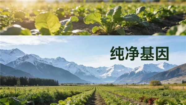 源自新西兰的植萃力量：Probody槲皮素以纯净品质赋能跨境健康消费 