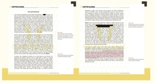 有录网文书优势解析：如何凭借本土资源领先留学行业 