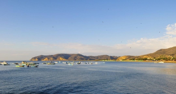 钱大妈海捕大虾，-196℃下的鲜味定格 