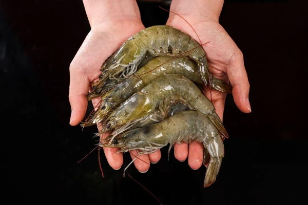 钱大妈海捕大虾，-196℃下的鲜味定格 