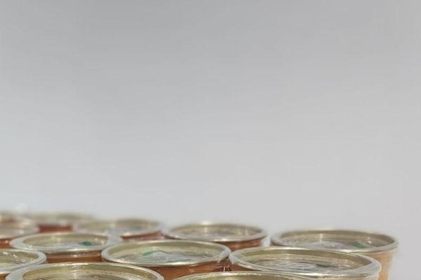 嗨学网：文化赋能团队，温暖与激励共筑成长基石 