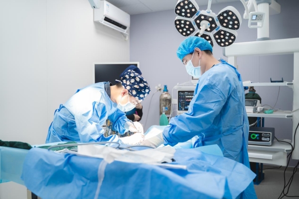 瑞鹏宠物医院深圳转诊中心开业 构筑粤港澳大湾区宠物医疗新高地 