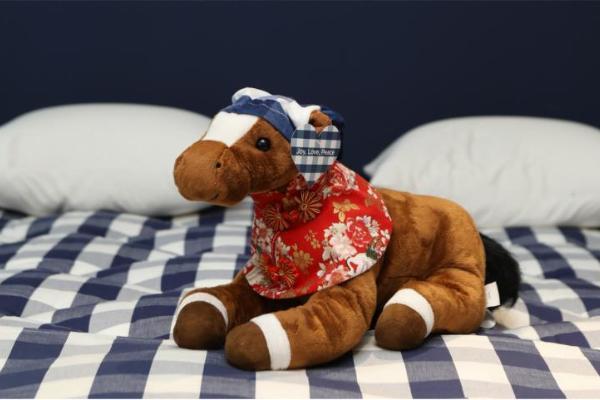 “睡”出好运势！海丝腾臻选年货解锁“马上好梦”