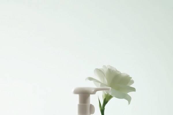 双十一卖爆，连续五年天猫销冠！这个国货卸妆凭什么？