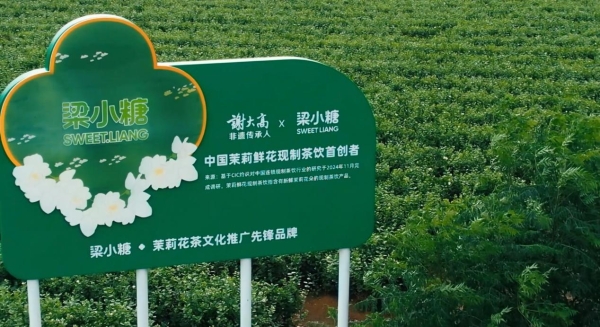 4.0新形象面世，15城25店同开，梁小糖开启地方茶饮品牌升级新路 