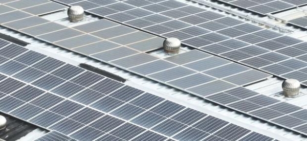 思乐得2026新春福利：许下心愿，红包封面等你来领 