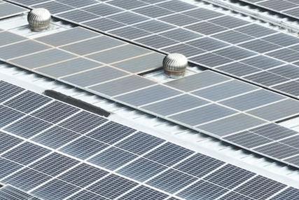 思乐得2026新春福利：许下心愿，红包封面等你来领 