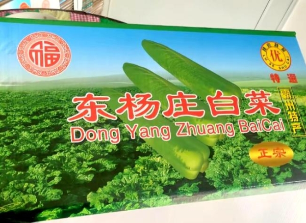 掌御台球杆遇上绿色绍菜：霸州以赛为媒绘就乡村振兴新图景