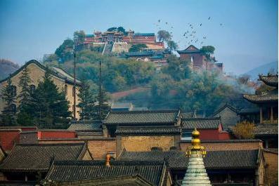 小罐茶×五台山：五福入茶，打造一座不崩塌的心山 