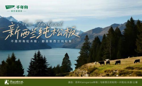 浙BA总决赛之夜开启！杭州队VS丽水队谁将站上最高领奖台？