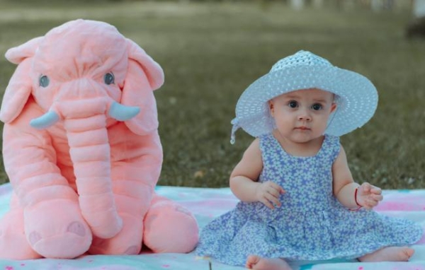 2026年2月婴儿车高口碑行业榜单：各类型婴儿车产品精选推荐 