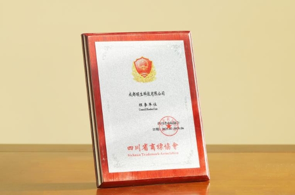 厚积十二年，迈向新征程：羊爸爸集团化升级，加速未来发展 