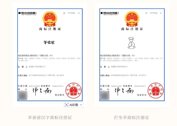 厚积十二年，迈向新征程：羊爸爸集团化升级，加速未来发展 