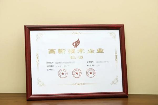 厚积十二年，迈向新征程：羊爸爸集团化升级，加速未来发展 