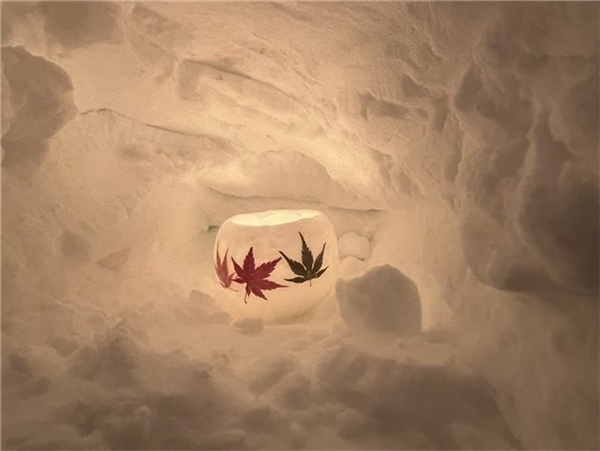 跟着宜得利漫游浪漫雪国，“购购宜得利 GOGO北海道”第二季圆满收官 