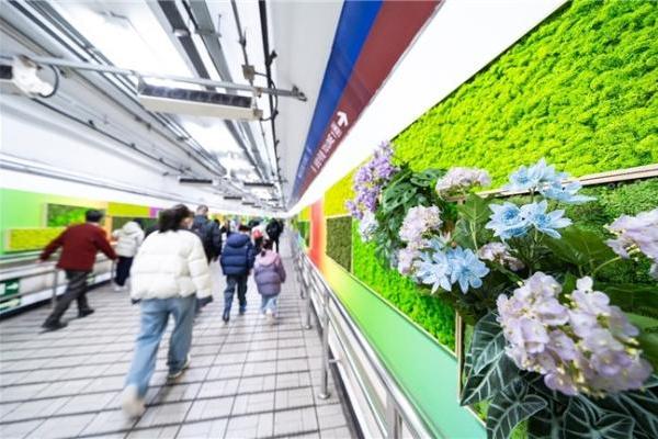 马年新春添新意 北京复兴门地铁化身花艺空间 