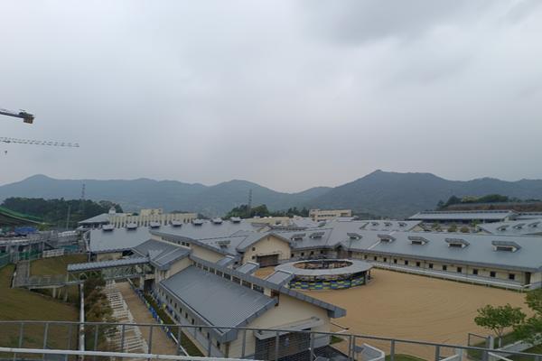 广州打造大湾区国际赛马城，吸引海外投资者 