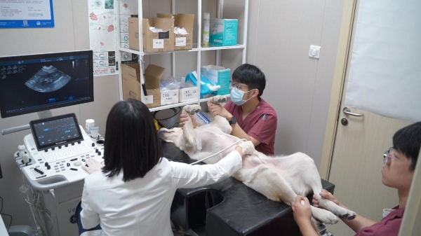 新瑞鹏斩获两项公益大奖 以专业践初心 以责任暖人心 