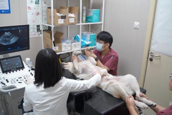 新瑞鹏斩获两项公益大奖 以专业践初心 以责任暖人心 