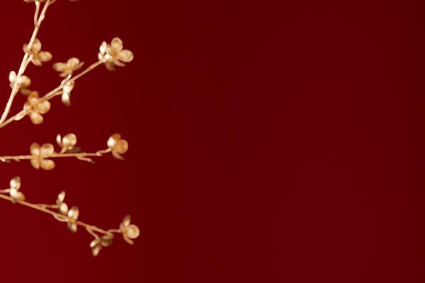 马年氛围浓！申城主题装置焕新亮相，思乐得骏马杯解锁新春仪式感 