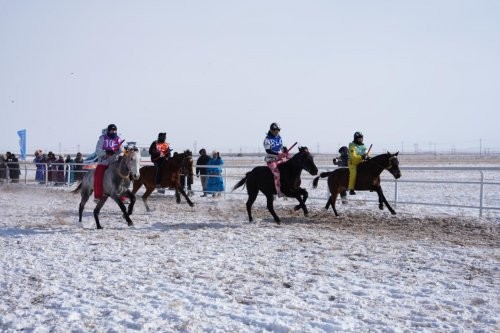 马年驭雪奔腾 文旅融合焕彩 锡林郭勒冬季蒙古马超级联赛总决赛开赛 