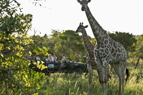  阳光下的中国年——2026马年春节，在南非过一个“非”同凡响的大年 