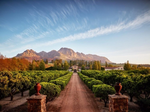  阳光下的中国年——2026马年春节，在南非过一个“非”同凡响的大年 