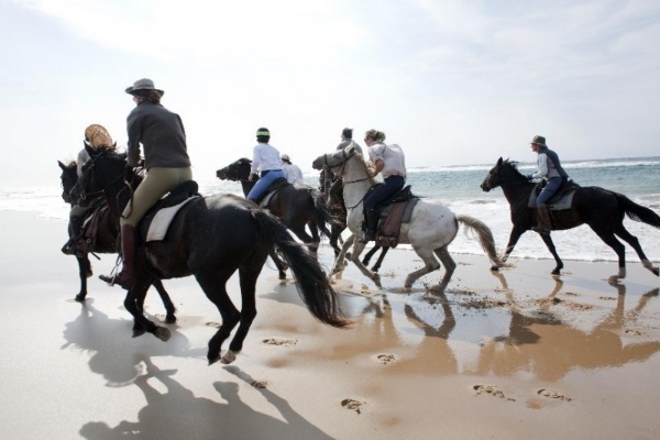  阳光下的中国年——2026马年春节，在南非过一个“非”同凡响的大年 