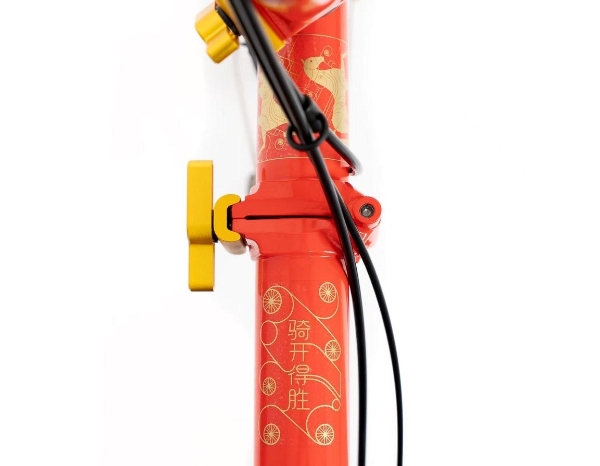 车映红墙 轮启新程 BROMPTON“骑开得胜”定制 P Line 献礼访华之旅