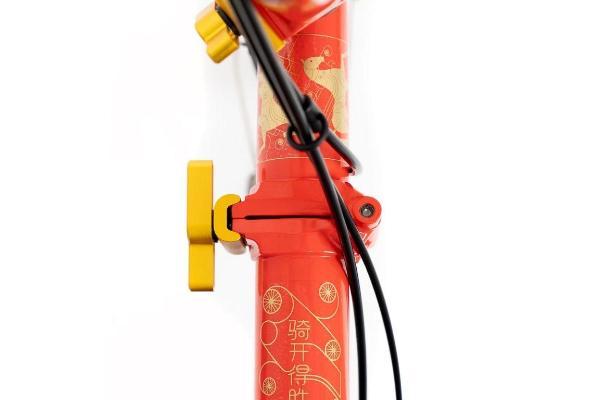 车映红墙 轮启新程 BROMPTON“骑开得胜”定制 P Line 献礼访华之旅 