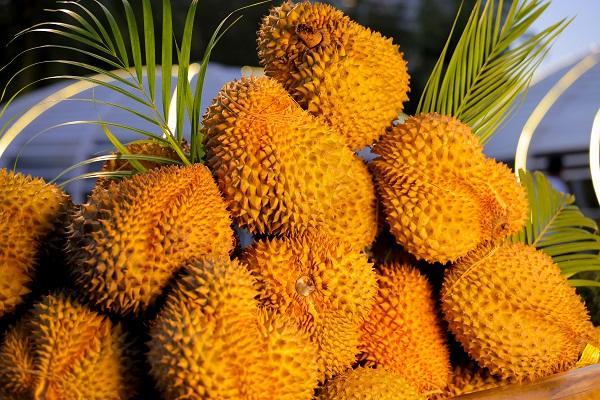 渔悦海鲜烧烤自助餐厅解锁临海户外海鲜美食新体验 