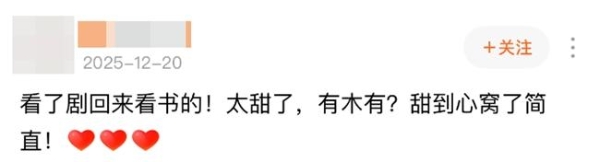 鸟松米专访：从《深情诱引》到《盛夏芬德拉》，好故事如何打穿媒介？ 