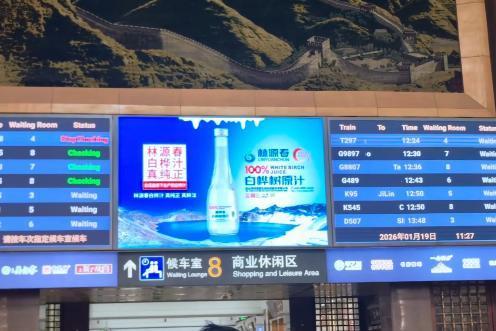 乘高铁速度 林源春桦树汁 传自然臻味 