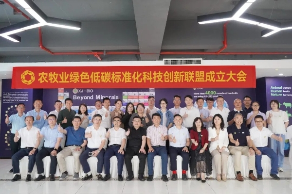 砍光热门业务，专注“破铜烂铁”20年，它如何成为全球引领者？ 