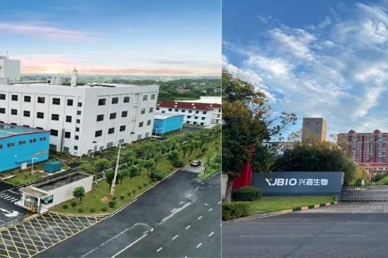 砍光热门业务，专注“破铜烂铁”20年，它如何成为全球引领者？ 